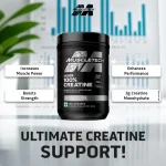 Muscletech™ Platinum 100% Creatine | 250g - Image 2